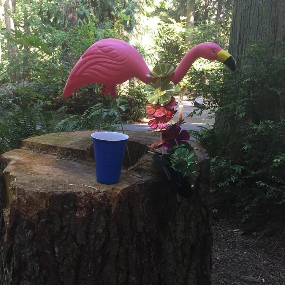 Flamingo and Beer
